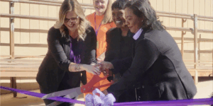 Behind the Leash: A Day with Elaine Starks